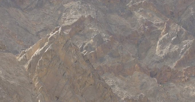 Raptors migration over Eilat Mountains, Israel
