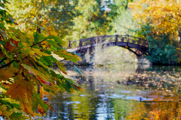 The most beautiful city in East Germany