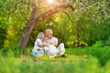 Portrait of loving elderly couple having a picnic