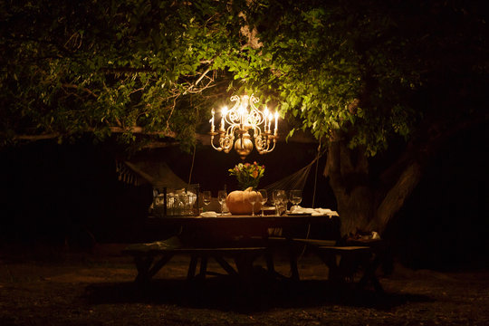 Chandelier hangs from tree over dining table outdoors