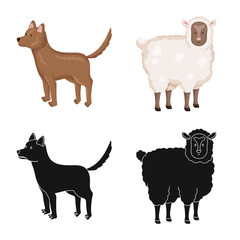 Isolated object of breeding and kitchen  icon. Set of breeding and organic  stock symbol for web.