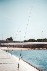 A vertical view with the shallow depth of field of multiple modern fishing rods on the city waterfront with selective focus on the first one, with a waterline on the right and the pavement on the left