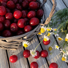 A basket of cherries