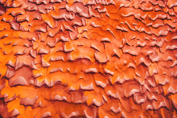 Bright colored pattern and texture of red sand beach in Prince edward island Canada. Trendy coral...