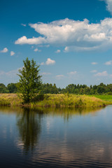 Fototapeta na wymiar Village landscape summer lake and fields 
