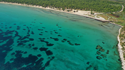 Aerial photo taken by drone of caribbean tropical exotic lagoon with turquoise clear sea sandy beach and rare pine trees