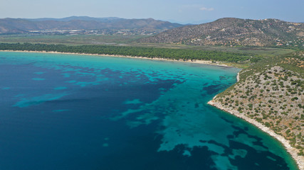 Fototapeta premium Aerial photo taken by drone of caribbean tropical exotic lagoon with turquoise clear sea sandy beach and rare pine trees