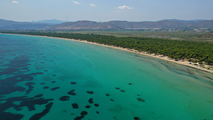 Obraz premium Aerial photo taken by drone of caribbean tropical exotic lagoon with turquoise clear sea sandy beach and rare pine trees