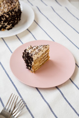 A piece of tiramisu cake on a pink plate, low angle view. Close-up.