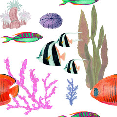 Hand drawn seemless pattern in watercolor sea world natural element. Corals shells fish on rose background