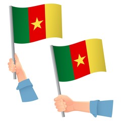 Cameroon flag in hand icon