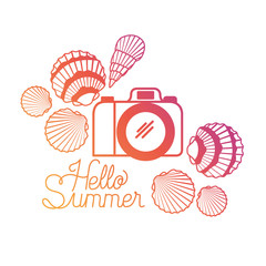 hello summer label with colorful image