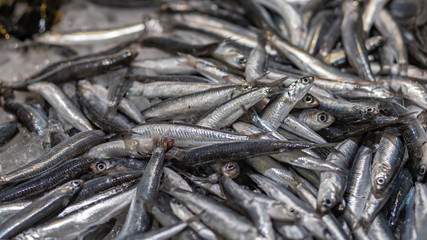 Fishes in a market in Costa Brava in Spain