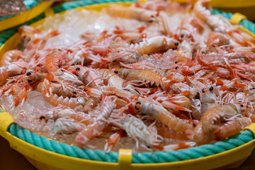 Fishes in a market in Costa Brava in Spain