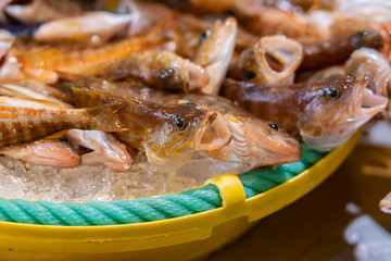Fishes in a market in Costa Brava in Spain