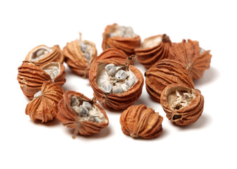 Dried Herbs, Latin name: Amomum villosum Lour. Chinese name: Xiang Sha Ren and known as Cocklebur-like Amomum Fruit, Fructus Amomi, Villous Amomum Fruit , Chinese herb medicinal on white background