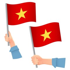 Vietnam flag in hand icon