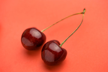 Pair of cherries with petioles are placed at the angle on the center coral background.