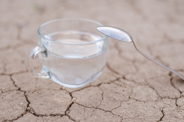 Water is the most important food for a person. A cup of water and a spoon on dry cracked earth.