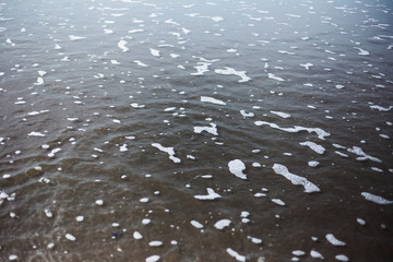 wet sands with shells on the beach 