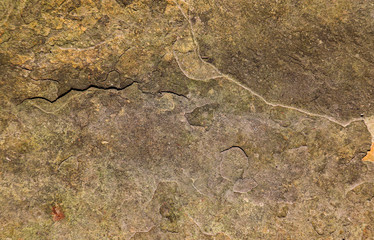 Obraz premium texture of stone
