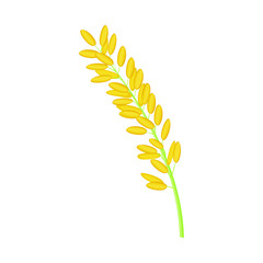 Isolated object of spikelet and rice logo. Set of spikelet and growth stock vector illustration.