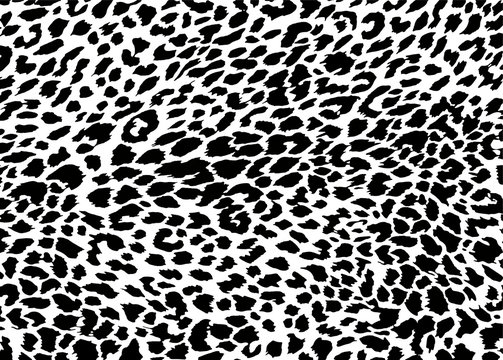 Vector black and white leopard texture.