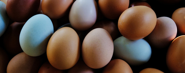 Close up of chicken eggs for food concept banner.