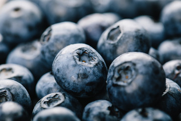 Fresh blueberry background. Texture blueberry berries close up. Vegan and vegetarian concept.