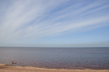 The Gulf of Finland . Summer sea in clear windless weather. Sea without waves.