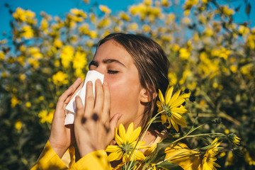 Pollen allergy, girl sneezing in a field of flowers. Jerusalem artichoke flowering. Napkin for...