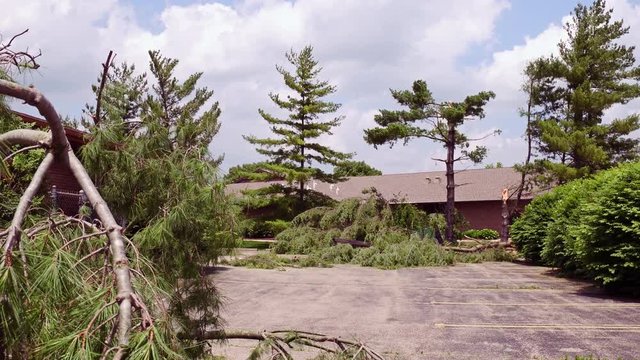 Downed trees in tornado aftermath 4k