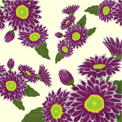 Abstract elegance pattern with floral background. Violet and purple chrysanthemum with yellow hearts. Vector illustration.