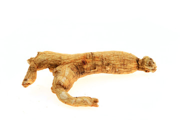 Ginseng on a white background