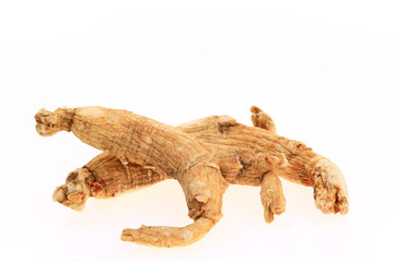 Ginseng on a white background