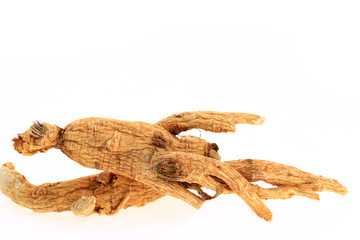 Ginseng on a white background