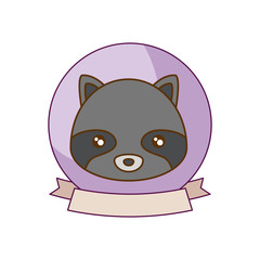 head of cute raccoon in frame with ribbon