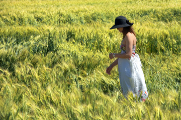 Naklejka na ściany i meble young adult beautiful woman in wheat field of rural landscape in sunny day