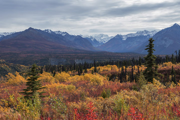 アラスカ　秋のマッキンレー地域の風景　Landscape of the fall Alaska