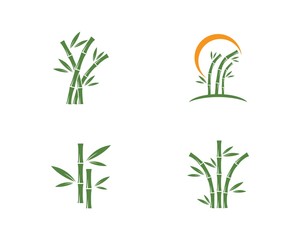 Bamboo with green leaf logo vector