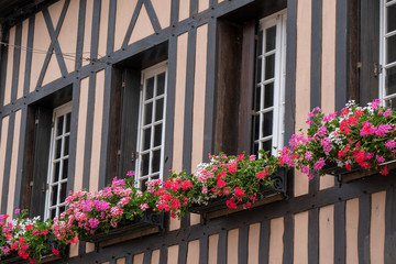 Fototapeta na wymiar Typical house facade with flowers at Houlgate, Normandy, France