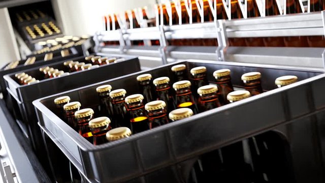 Plastic crates full of freshly brewed beer bottles on a factory pipeline. 4KHD