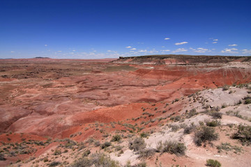 The Painted Desert, Petrified Forest National Park, Arizona, under a cloudless summer sky.