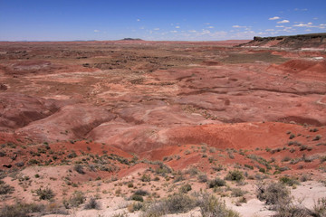 The Painted Desert, Petrified Forest National Park, Arizona, under a cloudless summer sky.