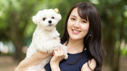 マルチーズ　ペット