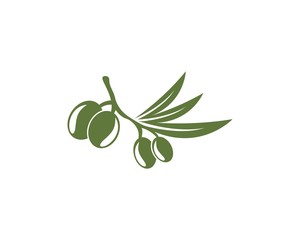 Olive oil logo vector illustration design template