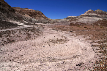 Badlands of the Painted Desert in Petrified Forest National Park, Arizona, under a cloudless summer sky.