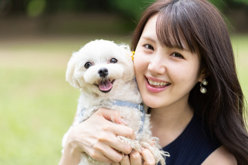 マルチーズ　ペット