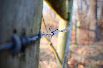 Close-up shot of a barbed wire fence.