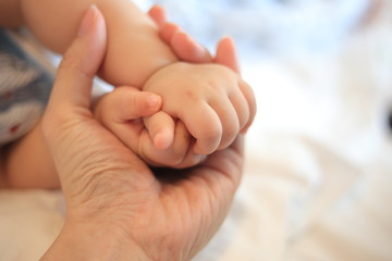 Obraz na płótnie Canvas parent holding baby hands. small infant hands covered in father hand. love, care, support and comfort concepts. peaceful and loving family memory image.